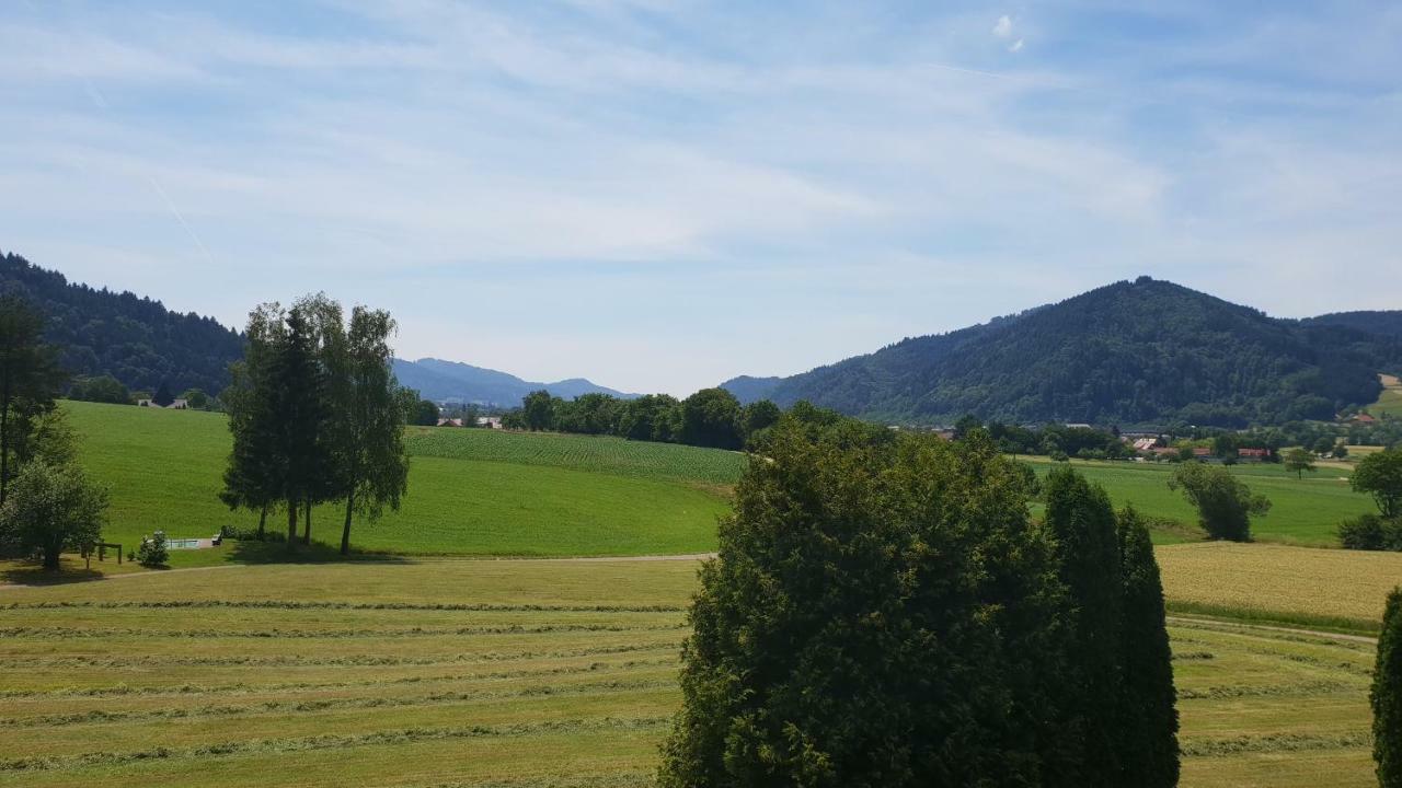 Silberkoenig Schwarzwald Hotel & Restaurant Ringhotel 구타흐임브라이스가우 외부 사진