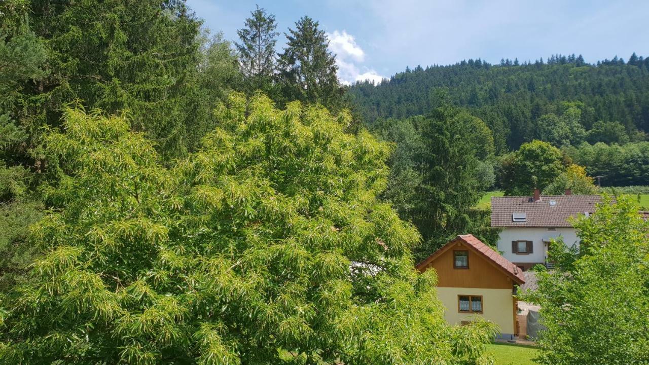 Silberkoenig Schwarzwald Hotel & Restaurant Ringhotel 구타흐임브라이스가우 외부 사진