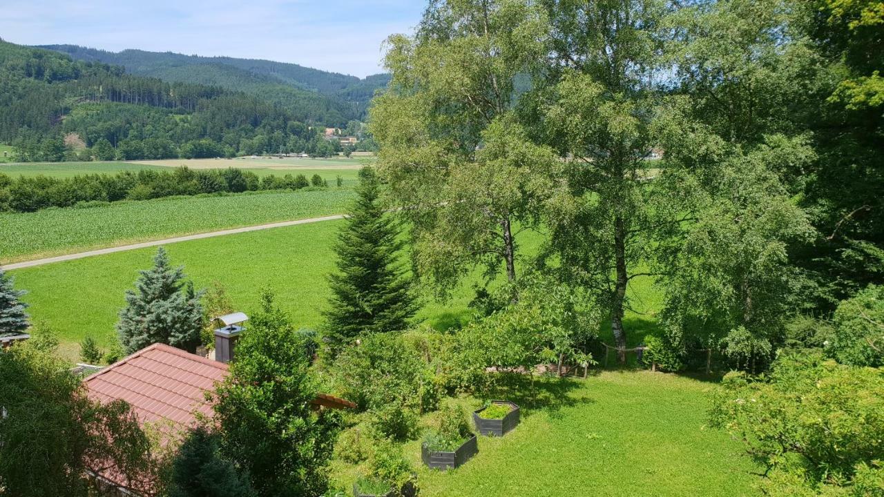 Silberkoenig Schwarzwald Hotel & Restaurant Ringhotel 구타흐임브라이스가우 외부 사진